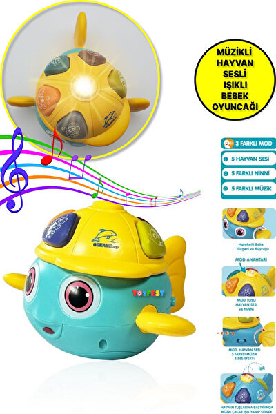 TOYFEST Eğitici Oyuncaklar