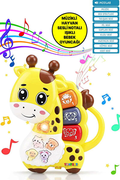 TOYFEST Eğitici Oyuncaklar