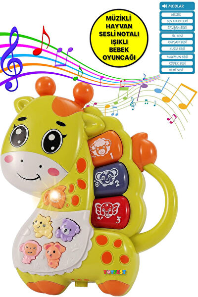 TOYFEST Eğitici Oyuncaklar