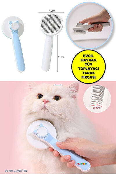 TOYFEST Kedi Tarak, Fırça, Makas
