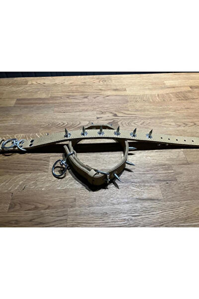 TPlast Köpek Tasmaları