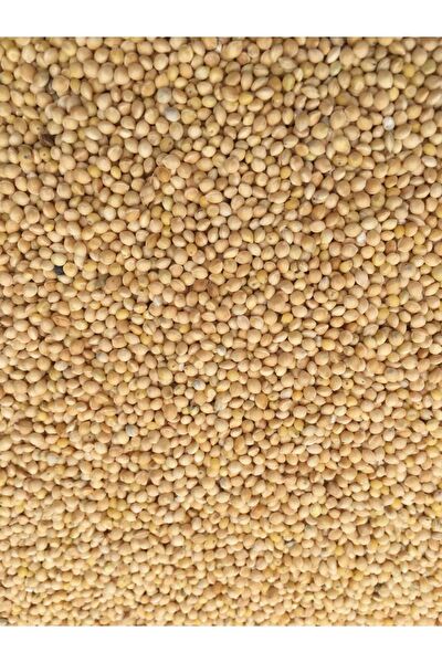 Ankara Yem Evi Kuş Yemi, Kraker