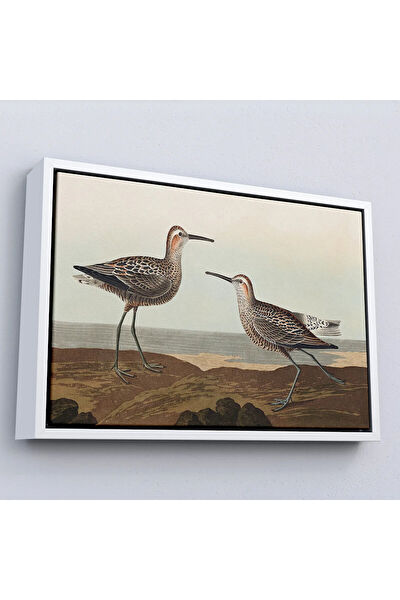 Oxyteez Kanvas Tablo