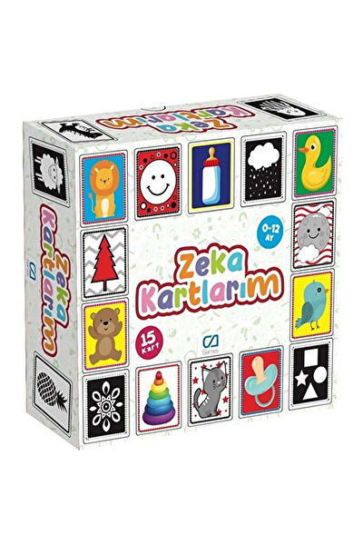 Mavi Su Dünyası Kutu Oyunları