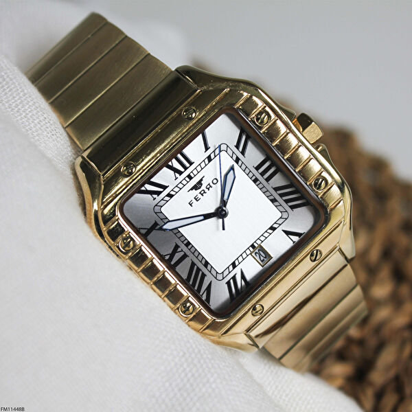 Ferro Erkek Kol Saati