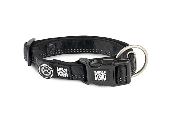 Max&Molly Köpek Tasmaları