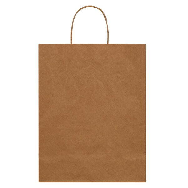 Packanya Karton Çanta