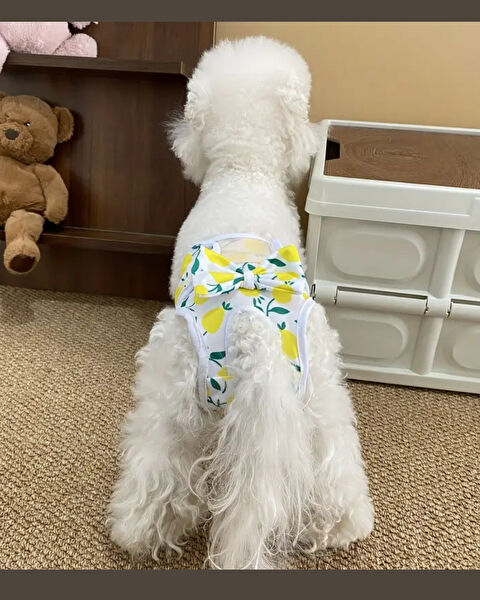 Trade Bazaar Köpek Çiş Pedleri & Külotlar