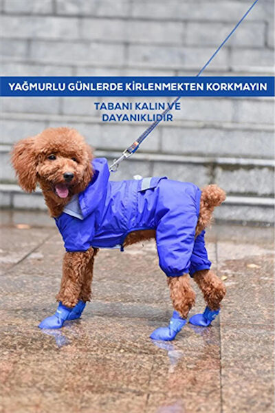 Trade Bazaar Köpek Sağlık & Bakım Malzemeleri