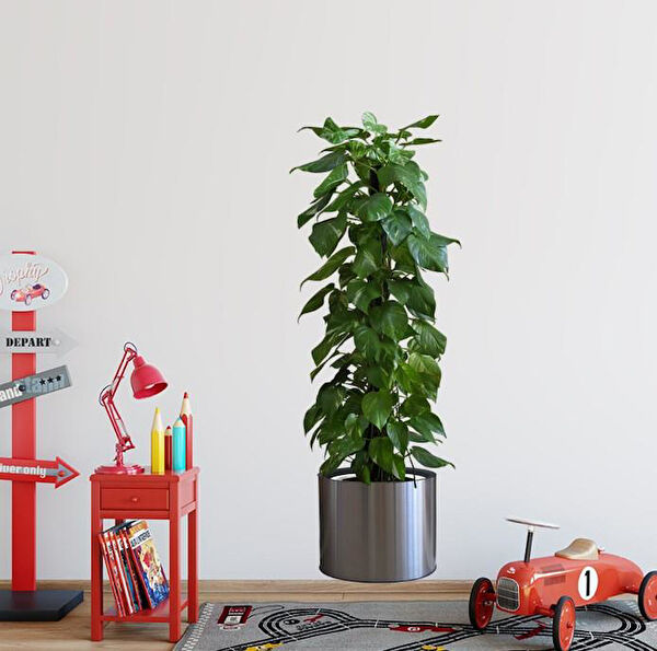 Cmt Dekoratif Sticker