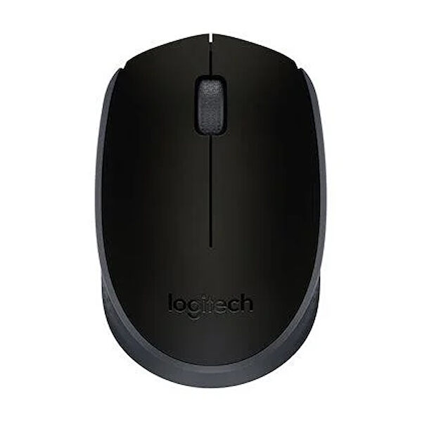  Mouse