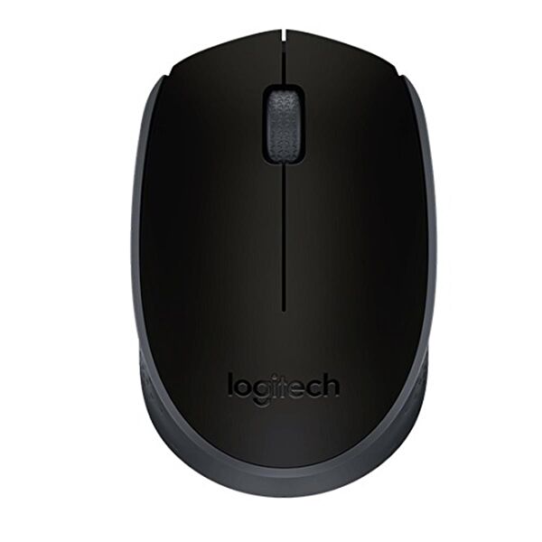 Logitech Mouse