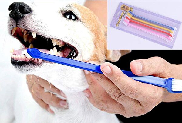 Cmt Köpek Oyuncakları