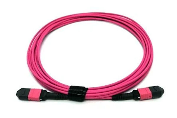 Beek Network Kabloları