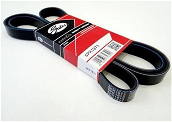 Gates Motor Aksamı Yatakları