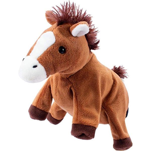 Oscar Eğitici Oyuncaklar