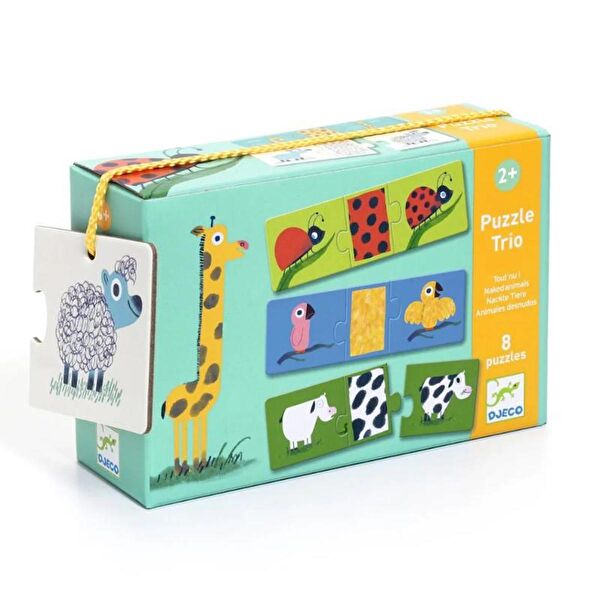 Djeco Zeka Oyunları