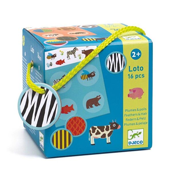 Djeco Zeka Oyunları