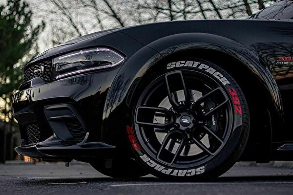 Oto Aksesuarım Arma Sticker