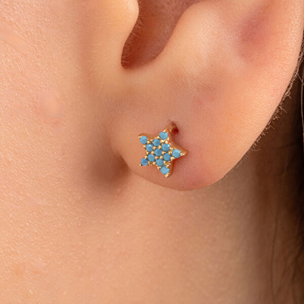 Fasekgold Altın Küpe