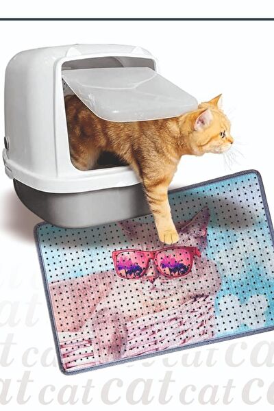 Trade Bazaar Kedi Tuvaleti, Aksesuarları