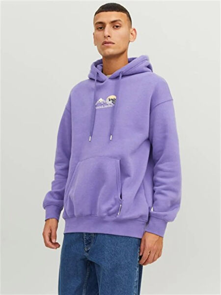 Jack & Jones Erkek Sweatshirt