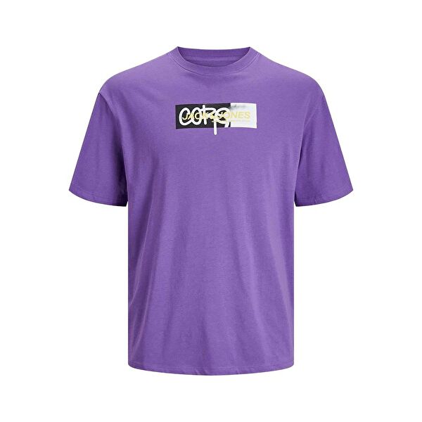 Jack & Jones Erkek Tişört