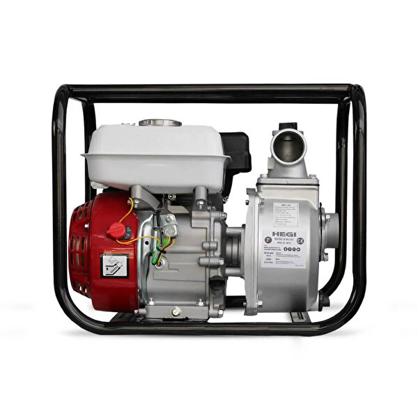 HEGI Hidrofor, Pompa