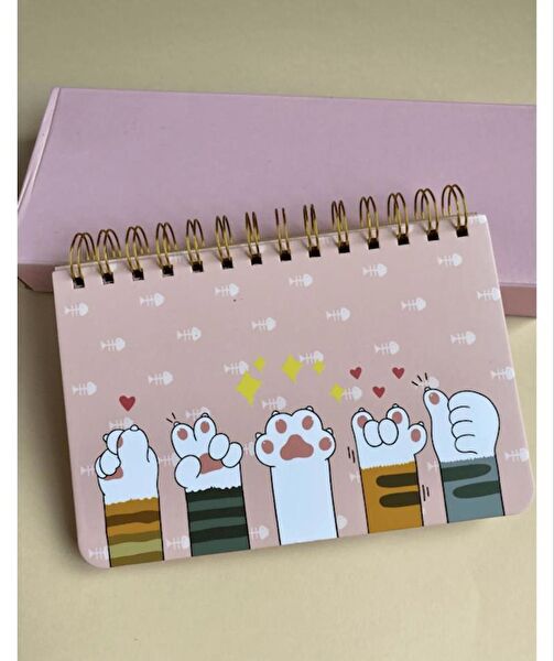 Piraye Defter, Ajanda