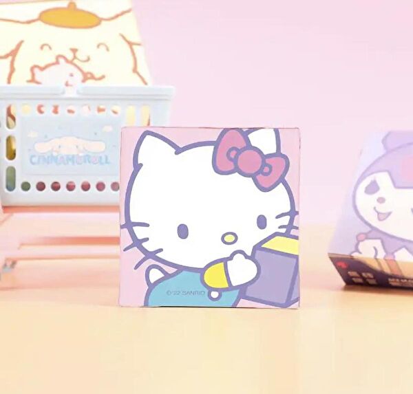 Piraye Defter, Ajanda