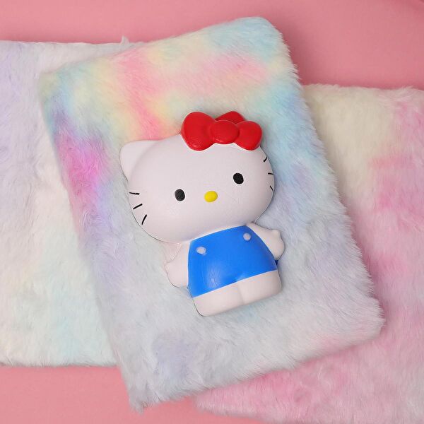 Piraye Defter, Ajanda