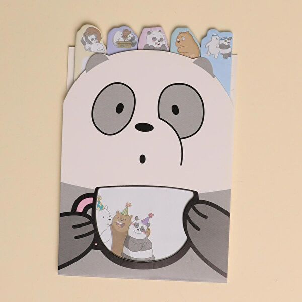 Piraye Defter, Ajanda