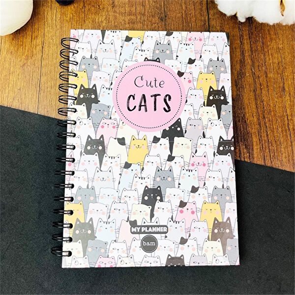 Piraye Defter, Ajanda