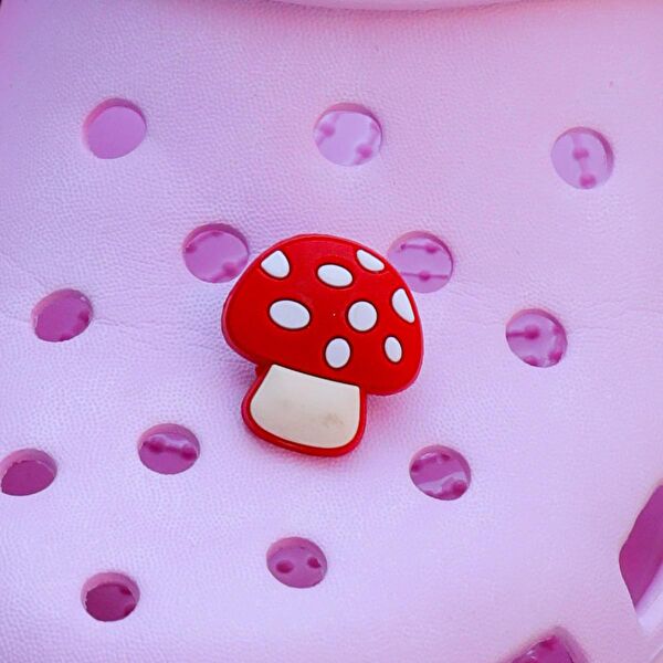 Piraye Ayakkabı,Terlik Aksesuarları