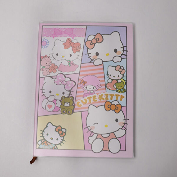 Piraye Defter, Ajanda