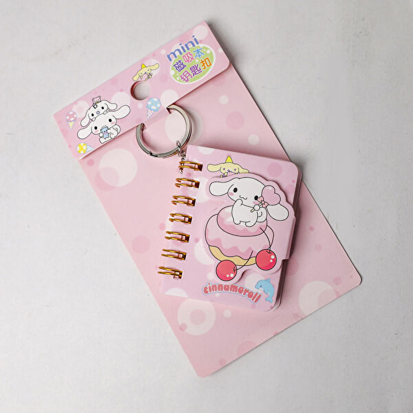 Piraye Defter, Ajanda