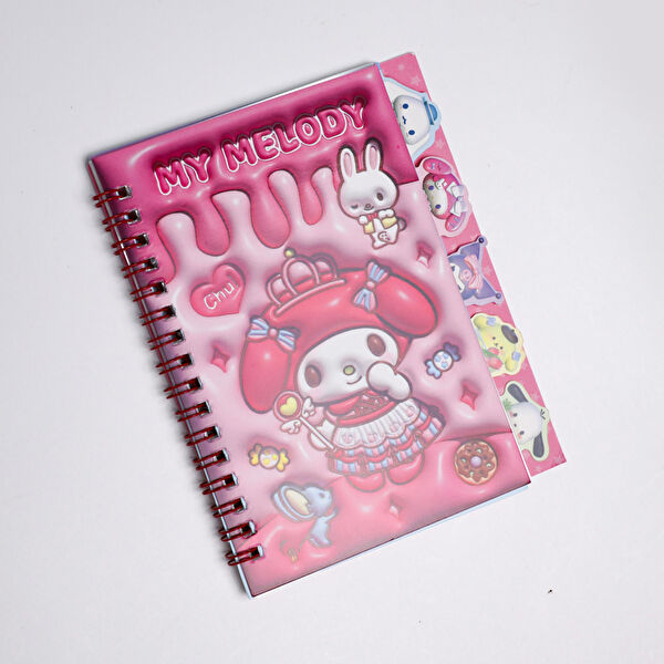 Piraye Defter, Ajanda