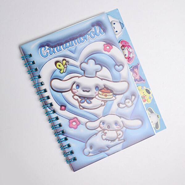 Piraye Defter, Ajanda