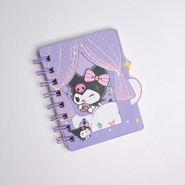 Piraye Defter, Ajanda