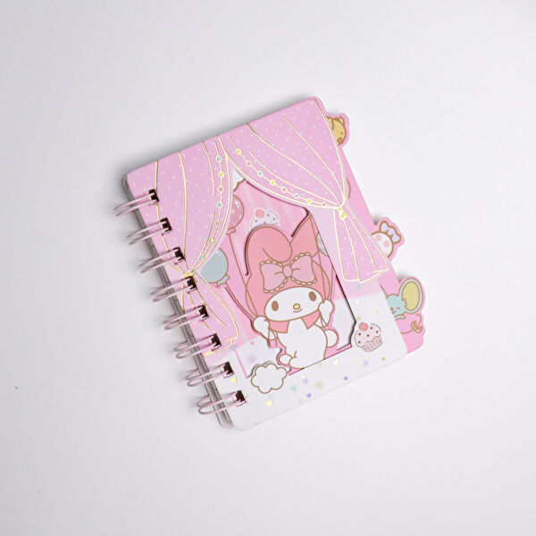 Piraye Defter, Ajanda