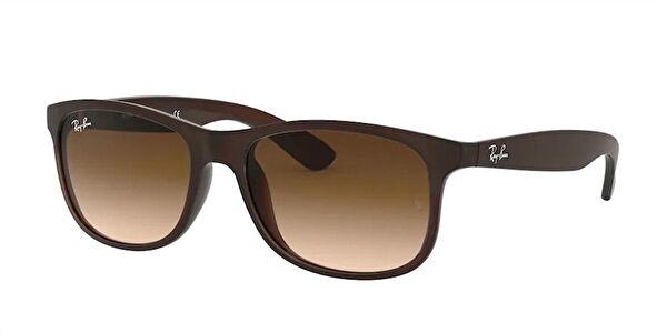 Ray-Ban Unisex Güneş Gözlüğü