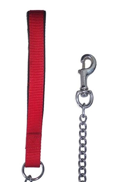 Eastland Köpek Tasmaları