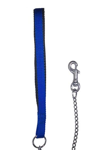 Eastland Köpek Tasmaları