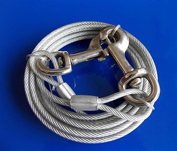 Eastland Köpek Tasmaları