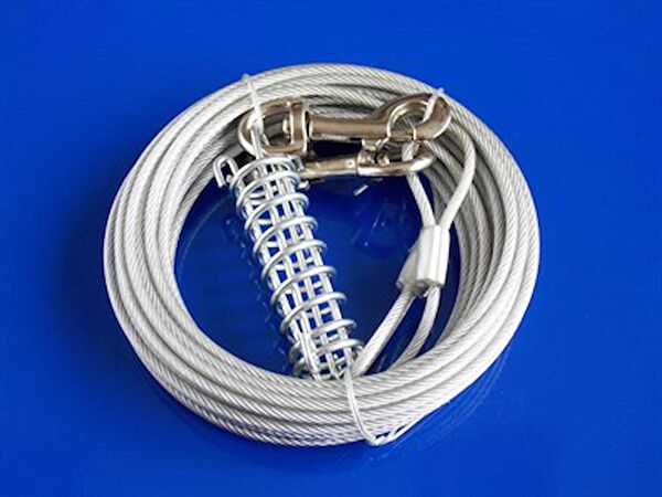 Eastland Köpek Tasmaları