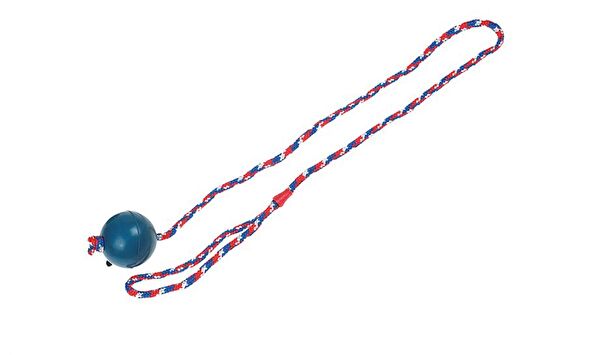 Karlie Köpek Oyuncakları