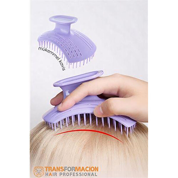 Modacar Tarak, Fırça