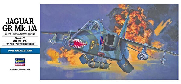 Hasegawa Maket Uçak