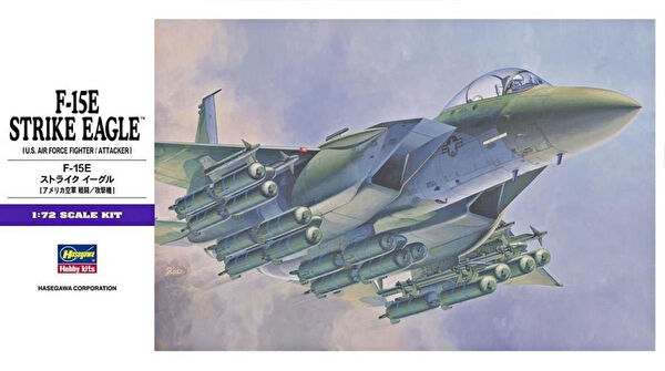 Hasegawa Maket Uçak