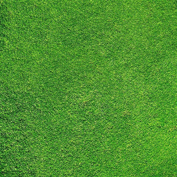 Cp Model Maket Aksesuarı